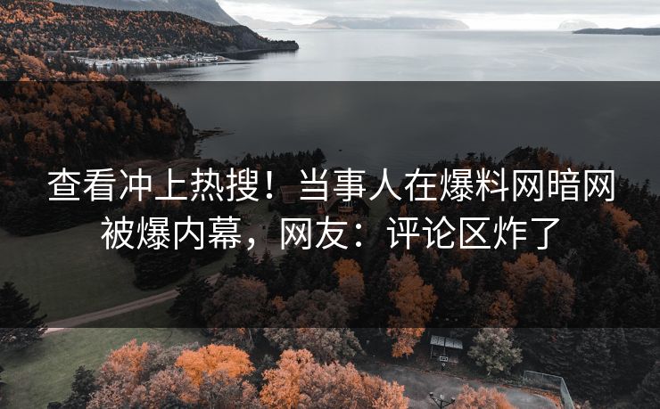 查看冲上热搜！当事人在爆料网暗网被爆内幕，网友：评论区炸了