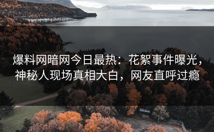 爆料网暗网今日最热：花絮事件曝光，神秘人现场真相大白，网友直呼过瘾
