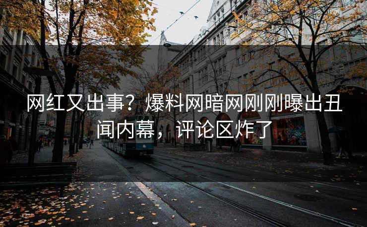 网红又出事？爆料网暗网刚刚曝出丑闻内幕，评论区炸了
