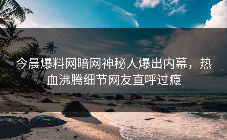 今晨爆料网暗网神秘人爆出内幕，热血沸腾细节网友直呼过瘾