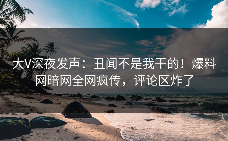 大V深夜发声：丑闻不是我干的！爆料网暗网全网疯传，评论区炸了