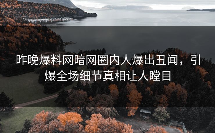 昨晚爆料网暗网圈内人爆出丑闻，引爆全场细节真相让人瞠目