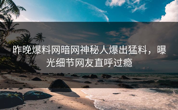 昨晚爆料网暗网神秘人爆出猛料，曝光细节网友直呼过瘾